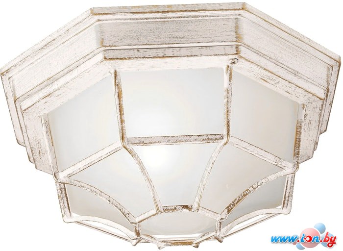 Люстра-тарелка Arte Lamp Pegasus A3121PF-1WG в Могилёве