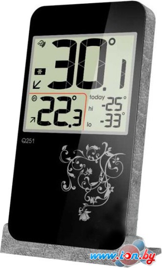 Комнатный термометр RST 02251 в Витебске
