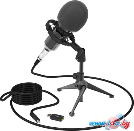 Микрофон Ritmix RDM-160 в Бресте