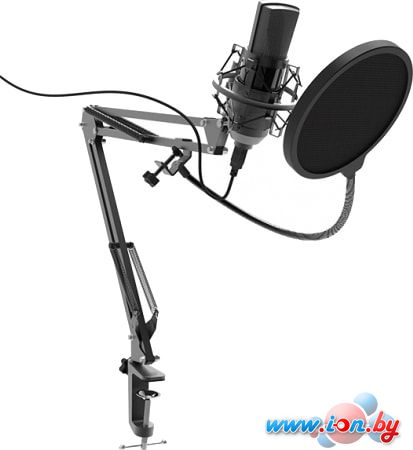Микрофон Ritmix RDM-180 в Бресте
