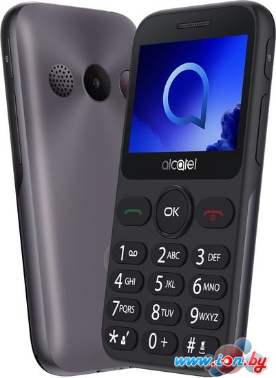 Мобильный телефон Alcatel 2019G (темно-серый) в Бресте