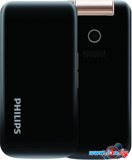 Мобильный телефон Philips Xenium E255 (черный) в Бресте