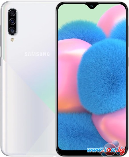 Смартфон Samsung Galaxy A30s 4GB/64GB (белый) в Витебске
