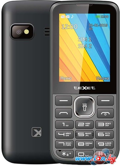 Мобильный телефон TeXet TM-213 (черный) в Бресте