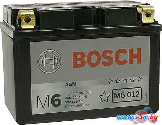 Мотоциклетный аккумулятор Bosch M6 YTZ12S-4/YTZ12S-BS 509 901 020 (9 А·ч) в Витебске