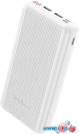 Портативное зарядное устройство Yoobao P20D (белый) в Гомеле