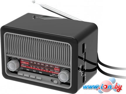 Радиоприемник Ritmix RPR-035 в Бресте