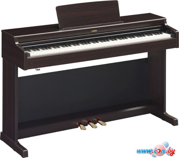 Цифровое пианино Yamaha Arius YDP-164 (коричневый) в Гродно