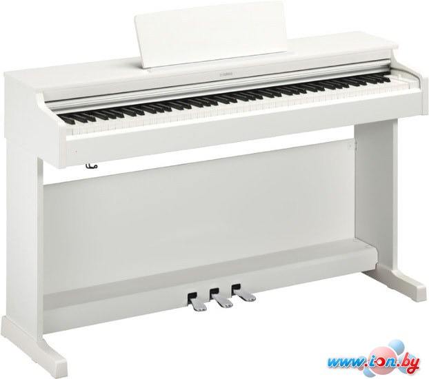 Цифровое пианино Yamaha Arius YDP-164 (белый) в Могилёве