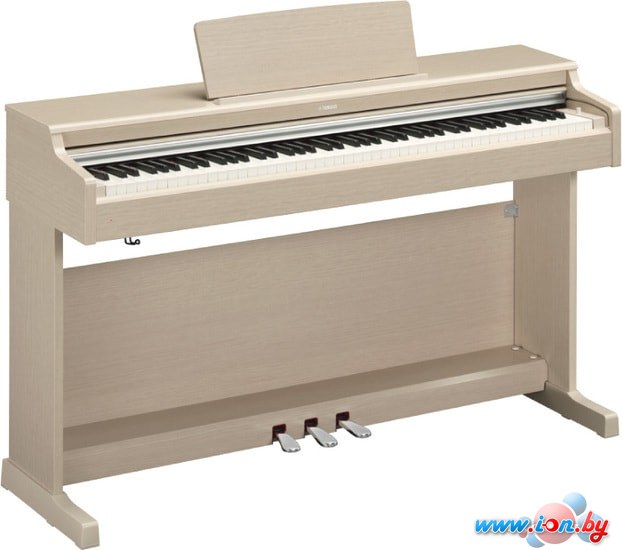 Цифровое пианино Yamaha Arius YDP-164 (бежевый) в Витебске