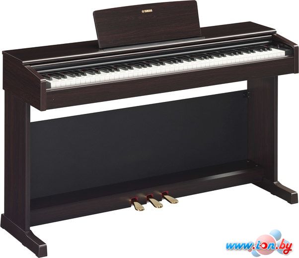 Цифровое пианино Yamaha Arius YDP-144 (коричневый) в Витебске