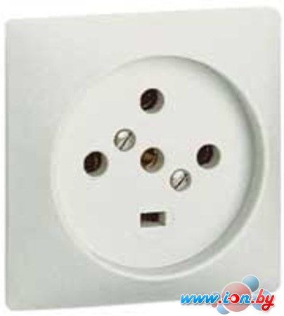 Розетка для электроплиты Legrand 055427 в Могилёве