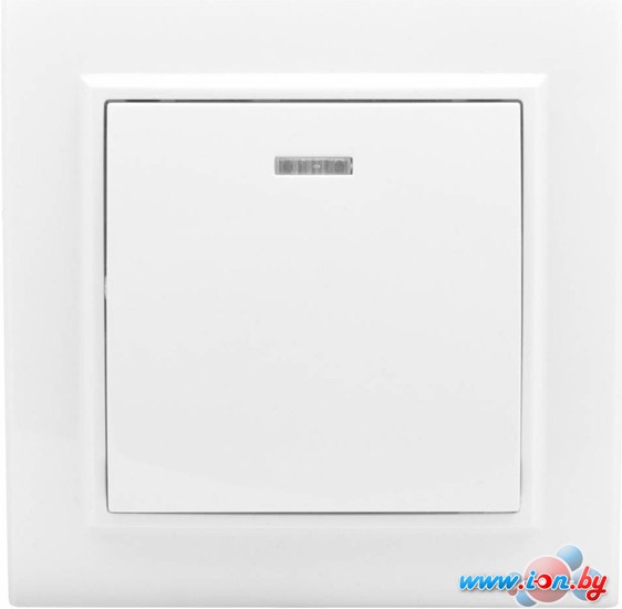 Выключатель EKF Basic Минск ERV10-121-10 в Могилёве
