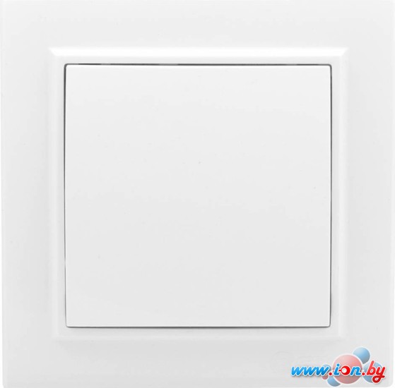 Выключатель EKF Basic Минск ERV10-021-10 в Могилёве