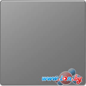 Клавиша для выключателя Schneider Electric Merten D-Life MTN3300-6050 (никель) в Могилёве