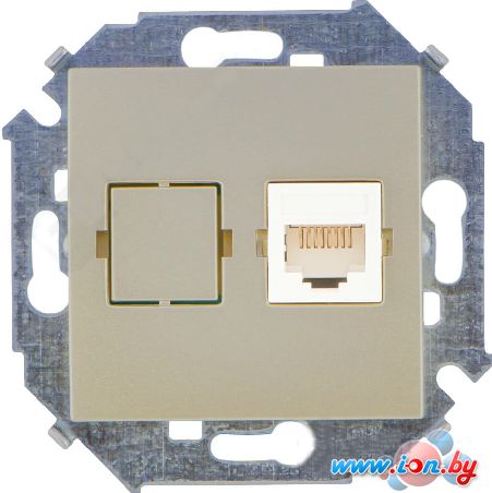 Розетка компьютерная Simon 15 1591598-034 (шампань) в Могилёве