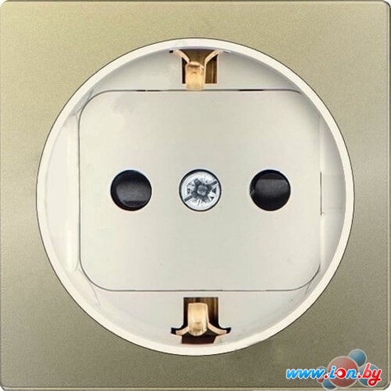 Накладка для розетки Simon 82041-64 (шампань со слоновой костью) в Могилёве