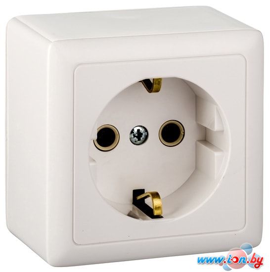 Розетка Schneider Electric ХИТ RA16-133I-B (белый) в Могилёве
