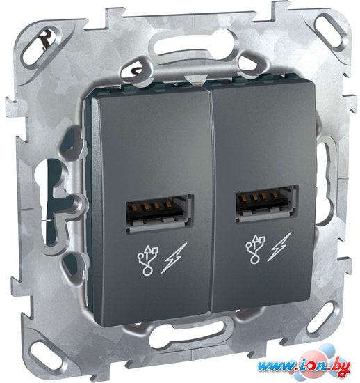 Розетка USB Schneider Electric Unica MGU5.928.12ZD в Могилёве