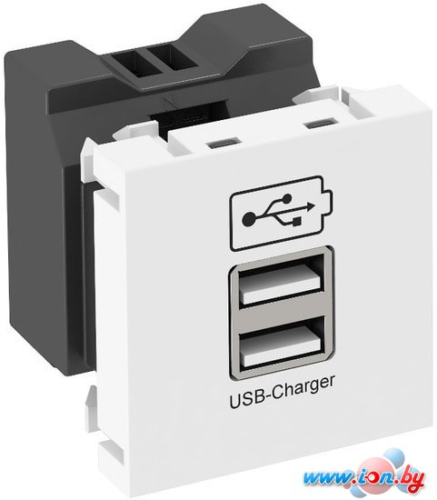 Розетка USB OBO Bettermann MTG-2UC1.2 RW1 6105291 в Могилёве