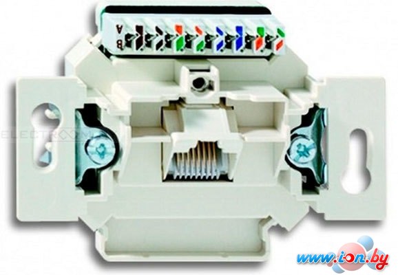 Розетка ABB Basic 55 13210401 в Могилёве