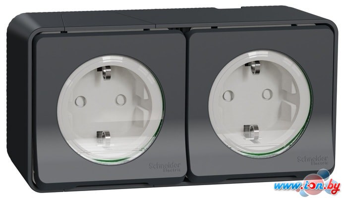 Розетка Schneider Electric MUR36029 в Могилёве