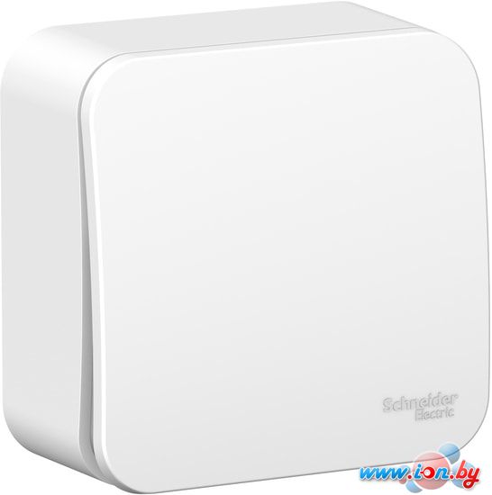 Выключатель Schneider Electric Blanca BLNVA061001 в Могилёве