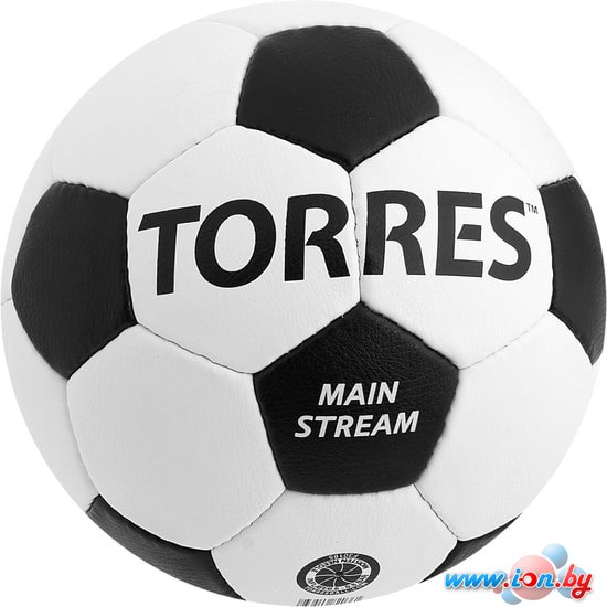 Мяч Torres Main Stream (4 размер) в Бресте