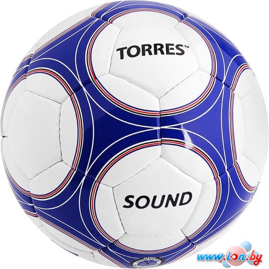 Мяч Torres Sound (5 размер) в Витебске
