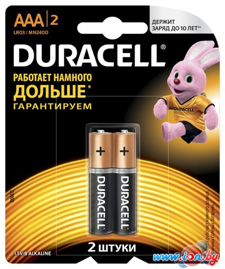 Батарейки DURACELL LR03/MN2400 2BP CN в Витебске