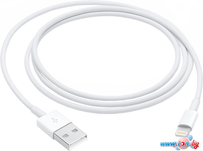 Кабель Apple MXLY2ZM/A в Витебске