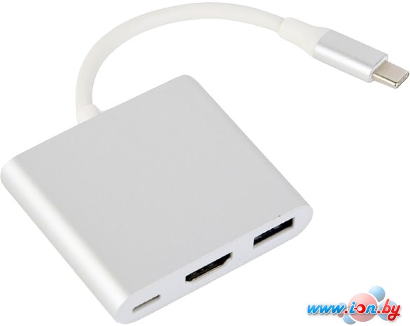 Адаптер Cablexpert A-CM-HDMIF-02-MX (серебристый) в Могилёве