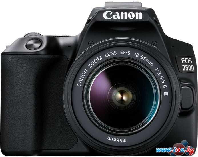 Зеркальный фотоаппарат Canon EOS 250D Kit 18-55 f/3.5-5.6 III + SB310 + SDHC (черный) в Бресте