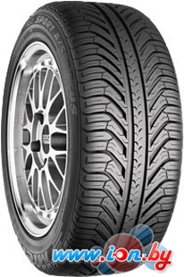 Автомобильные шины Michelin Pilot Sport A/S Plus 255/40R20 101V в Бресте