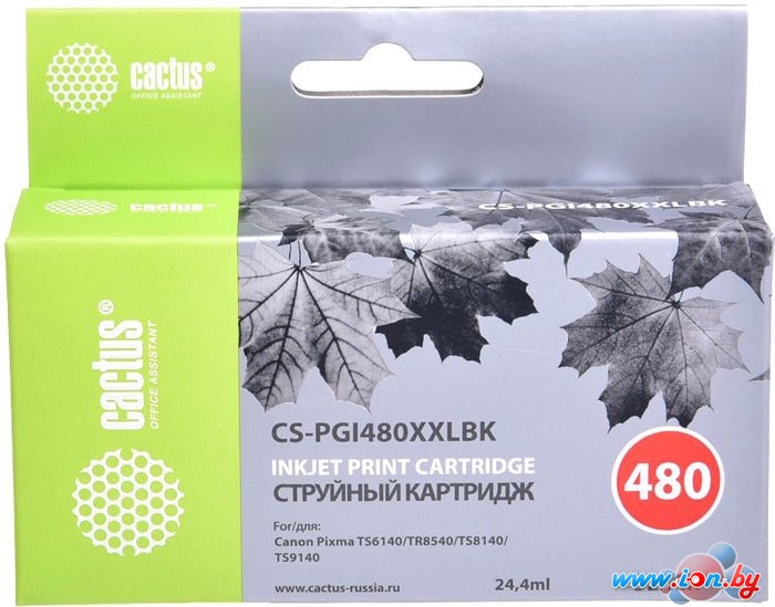 Картридж CACTUS CS-PGI480XXLBK (аналог Canon PGI-480XXL PGBK) в Минске