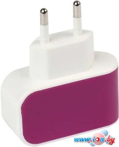 Сетевое зарядное SmartBuy Color Charge SBP-8030 в Гомеле