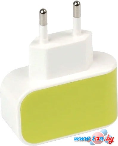Сетевое зарядное SmartBuy Color Charge SBP-8020 в Гомеле
