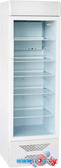 Торговый холодильник Бирюса 310P в Гродно