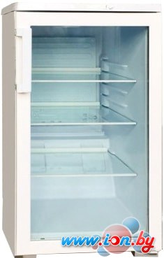 Торговый холодильник Бирюса 102 в Минске