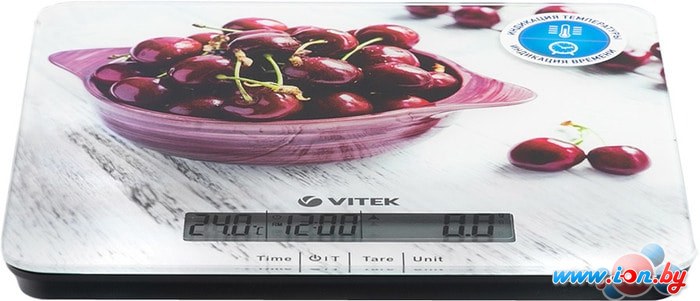 Кухонные весы Vitek VT-8002 в Могилёве