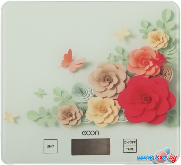 Кухонные весы Econ ECO-BS113K в Гомеле