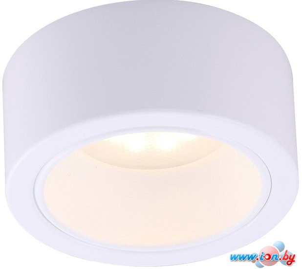 Точечный светильник Arte Lamp Effetto A5553PL-1WH в Могилёве