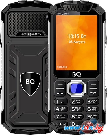 Мобильный телефон BQ-Mobile BQ-2819 Tank Quattro (черный) в Бресте