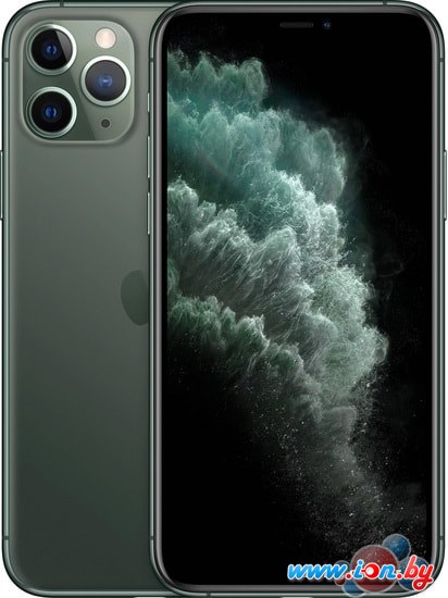 Смартфон Apple iPhone 11 Pro Max 64GB (темно-зеленый) в Витебске