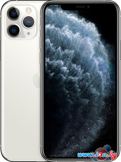 Смартфон Apple iPhone 11 Pro Max 512GB (серебристый) в Витебске