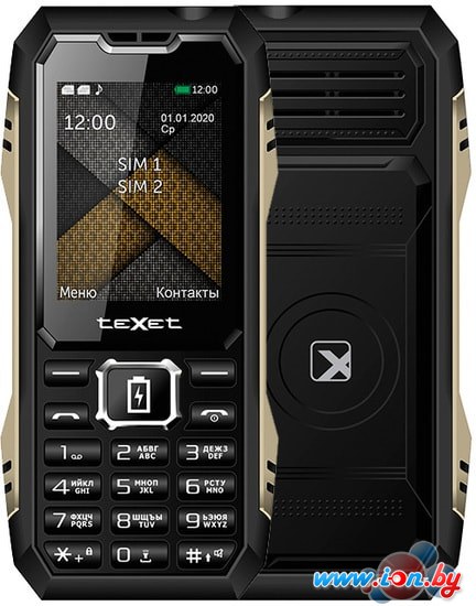 Мобильный телефон TeXet TM-D428 (черный) в Могилёве