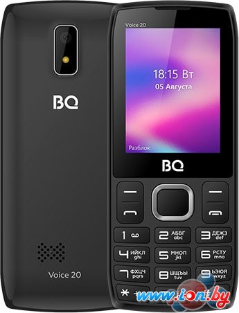 Мобильный телефон BQ-Mobile BQ-2400L Voice 20 (черный) в Витебске