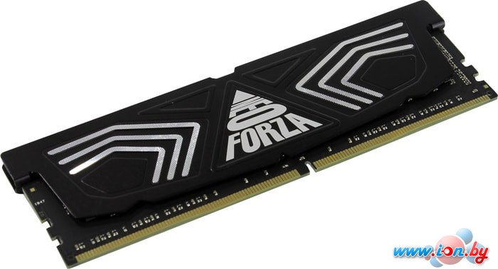 Оперативная память Neo Forza Faye 16GB DDR4 PC4-28800 NMUD416E82-3600DB11 в Гомеле
