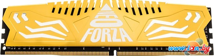 Оперативная память Neo Forza Encke 16GB DDR4 PC4-28800 NMUD416E82-3600DC10 в Гомеле