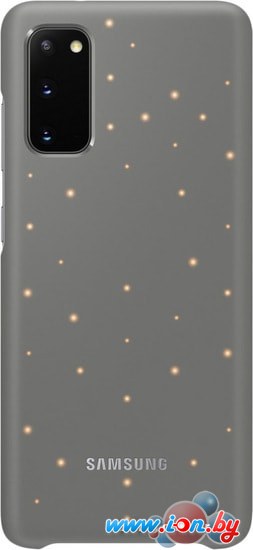 Чехол Samsung Smart LED Cover для Samsung Galaxy S20 (серый) в Бресте